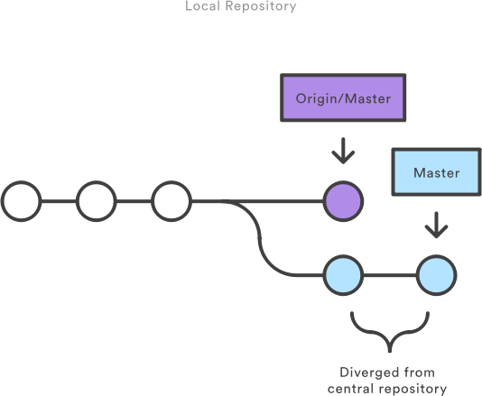 Fork, Branch, and Pull - A Concise Git Workflow